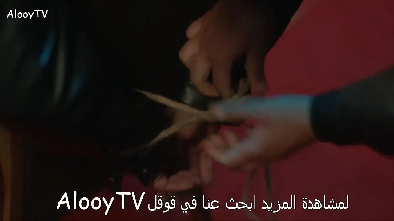 الحلقة 31
