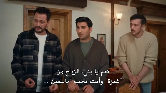 الحلقة 29