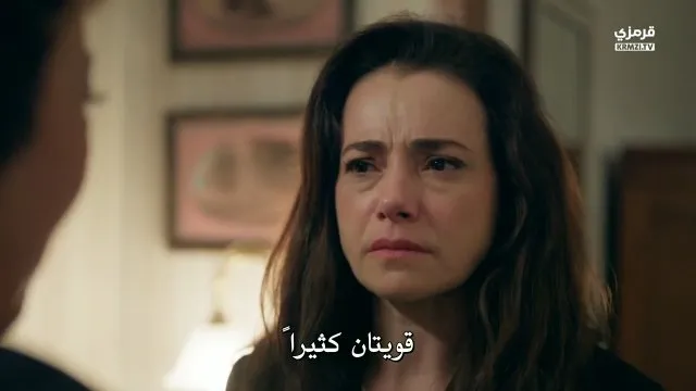 الحلقة 29