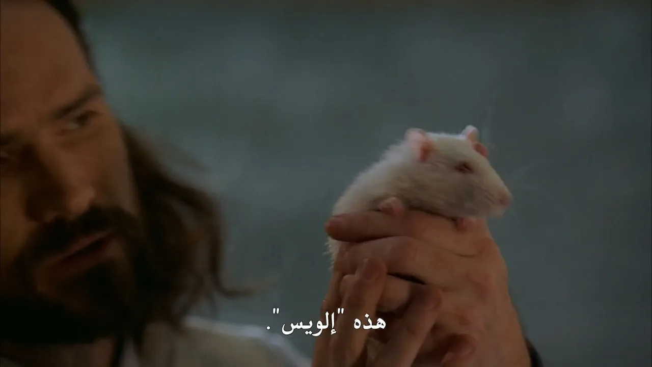 الحلقة 5