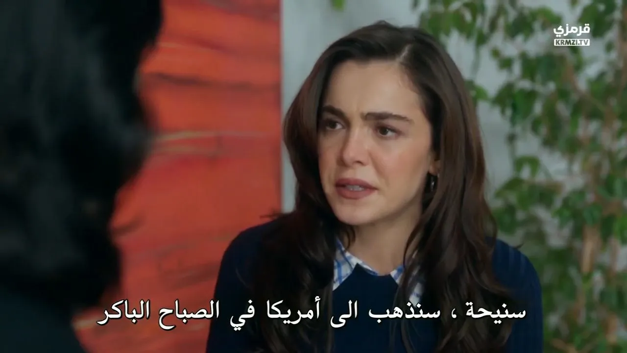 الحلقة 22