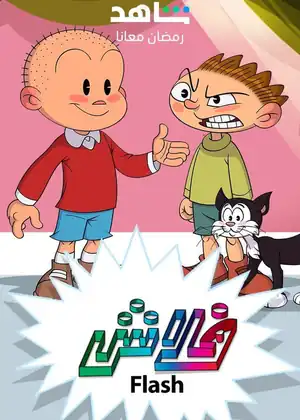 فلاش