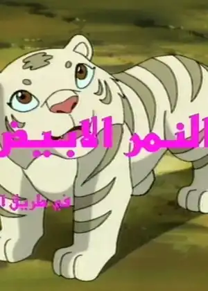 النمر الابيض