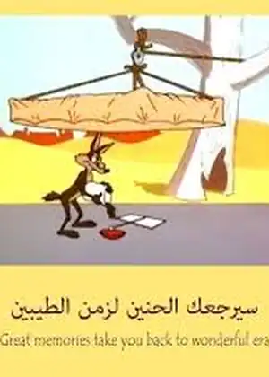 وايل إي. كايوتي ورود رنر