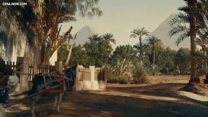 الحلقة 8