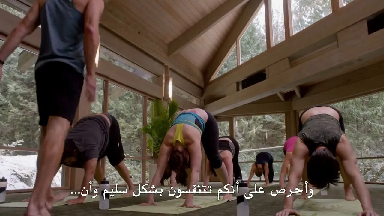 الحلقة 13