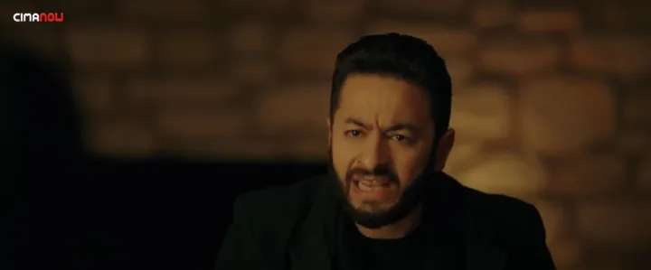 الحلقة 13