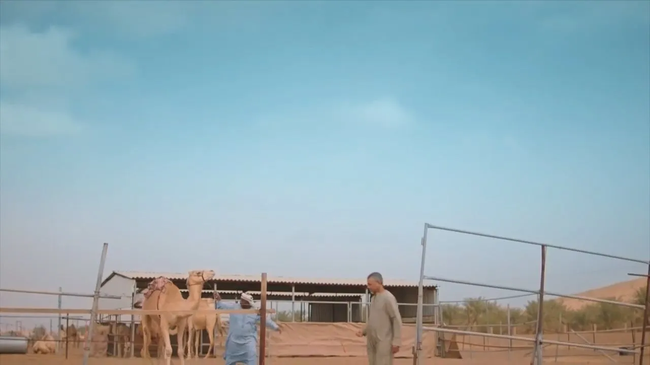 الحلقة 13