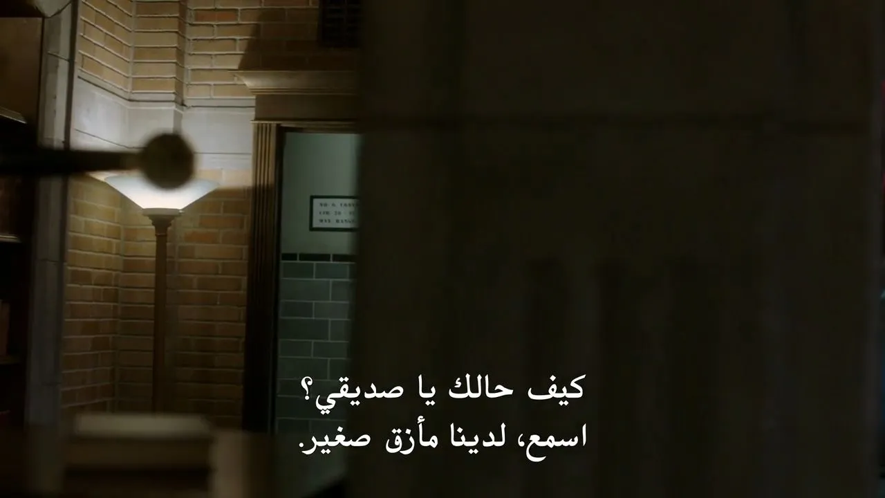 الحلقة 8