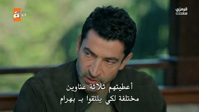 الحلقة 15
