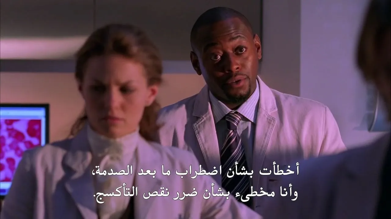 الحلقة 13