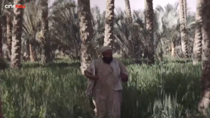 الحلقة 12