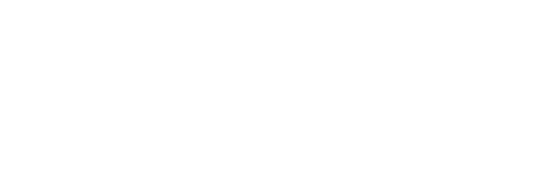 الكأس 2